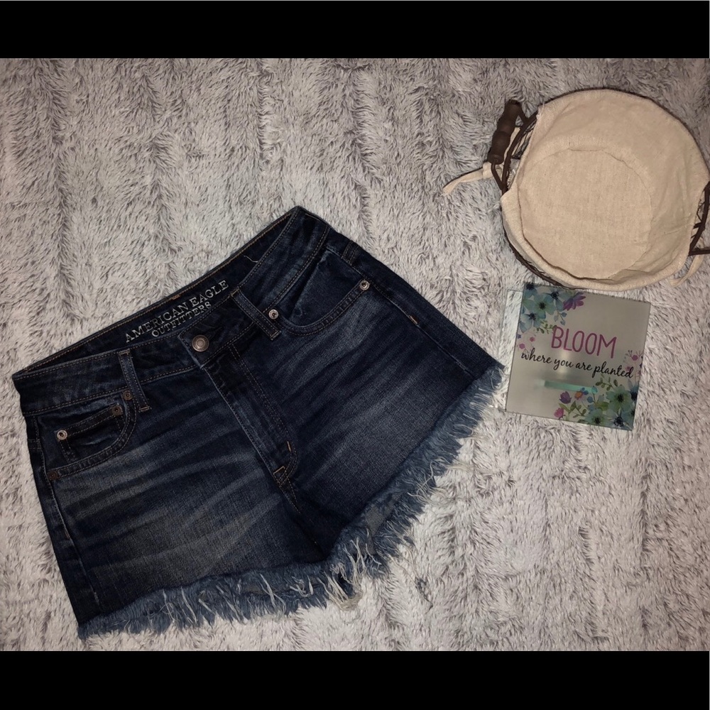 ‼️SALE‼️ NEW!! American Eagle Size 0 Shorts